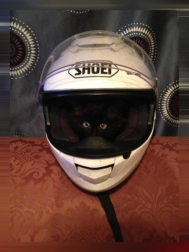 Главное чтобы не убежал с ним