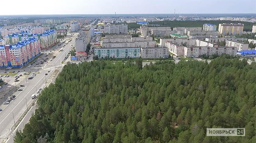 Ноябрьск Ямало-Ненецкий автономный округ. Ямало Ненецкий округ город Ноябрьск. Поселок Ноябрьск Ямало-Ненецкий автономный округ. Ноябрьск Ямало-Ненецкий автономный округ население.