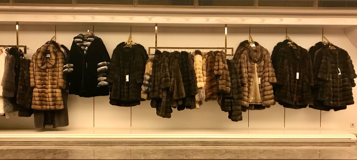 www.levstores.com