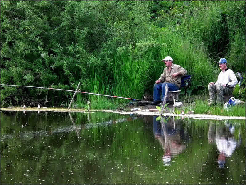 Фото рыбалки на пруду