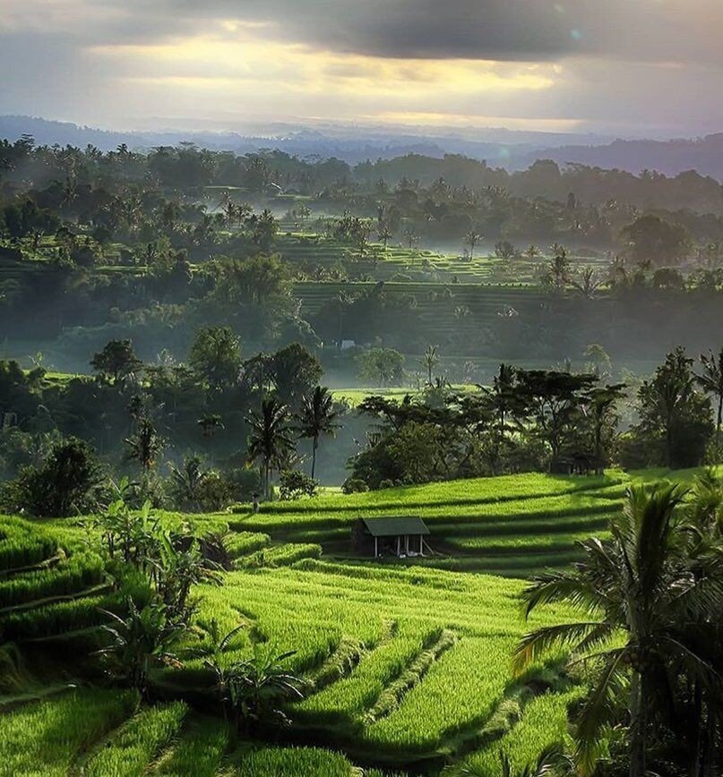 Бали - остров мечта, фото взято в Pinterest