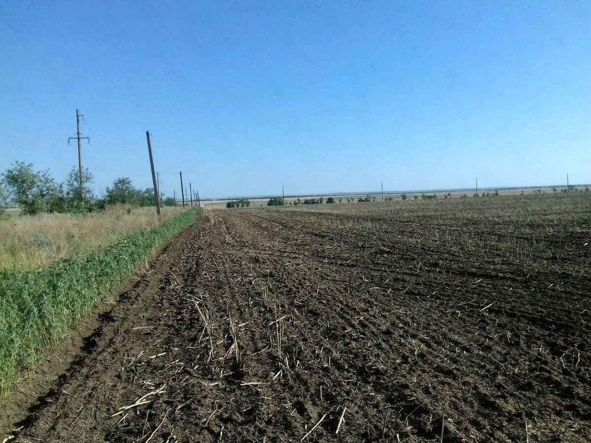 Инвестирование в земли сельскохозяйственного назначения. Покупка и  заработок на земле. Земельный пай до 40 тыс. руб. | Аграрий | Дзен