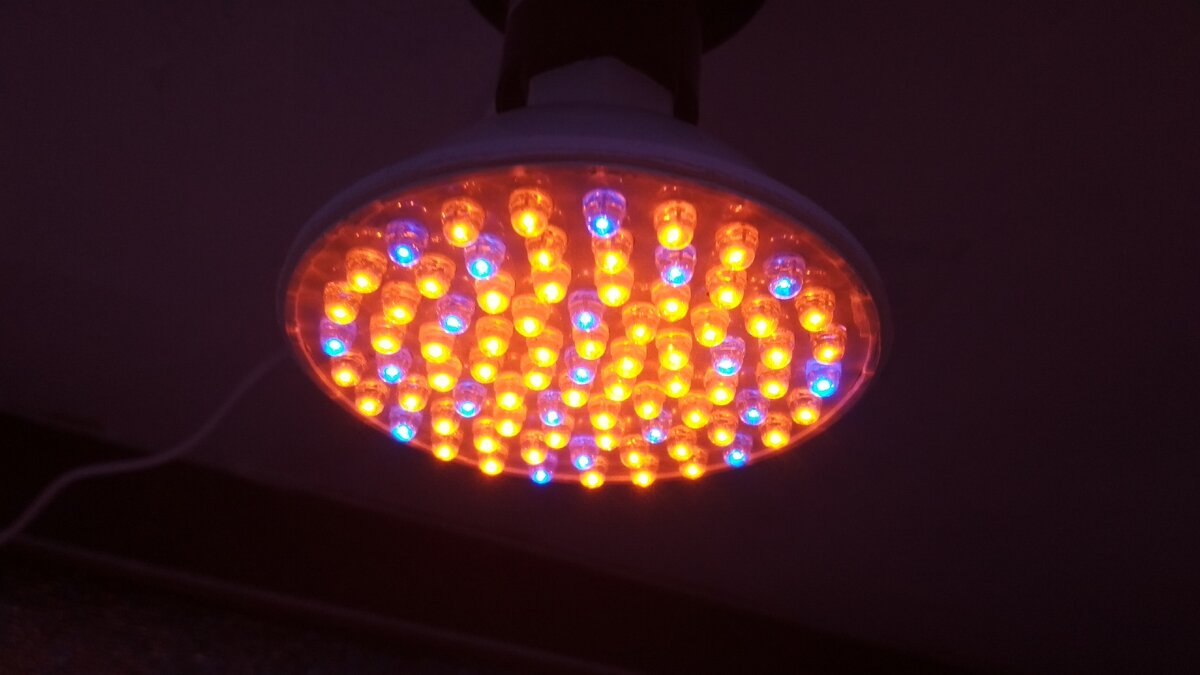 Биколорная лампа