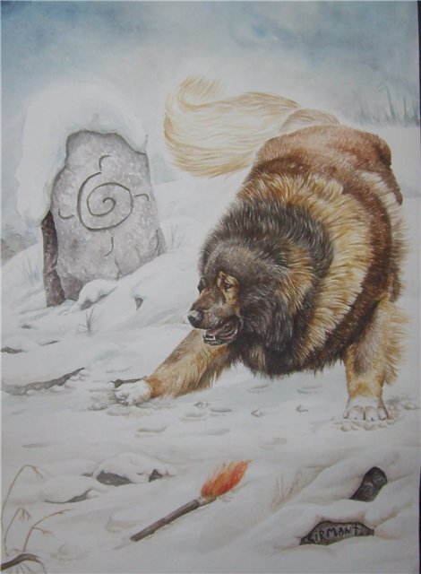 Яндекс картинки.