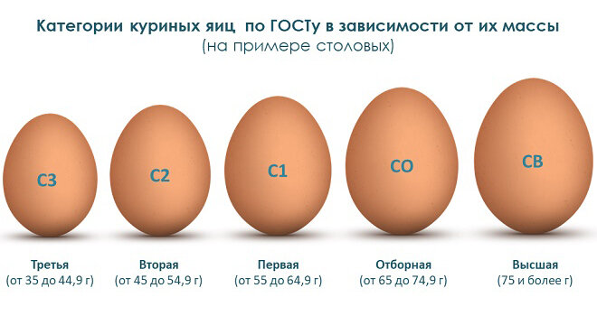 Из открытых источников