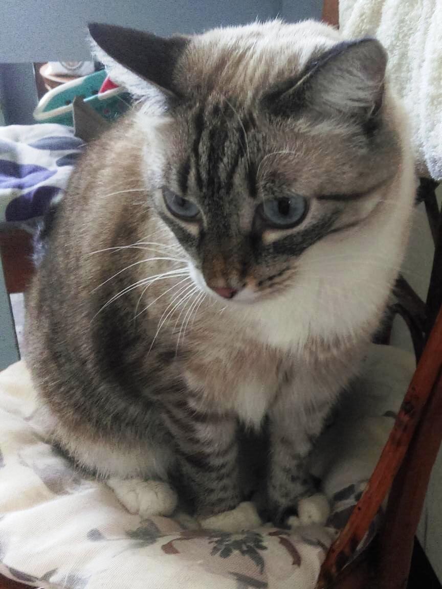 Я поел, а как будто бы не поел. Быть может это мне показалось?