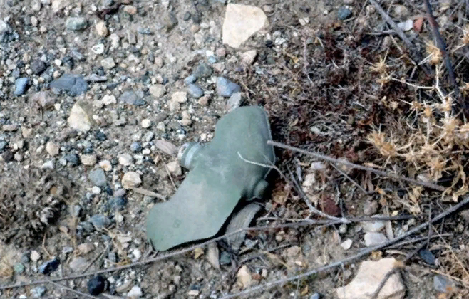 Мина ПФМ-1 "Лепесток"