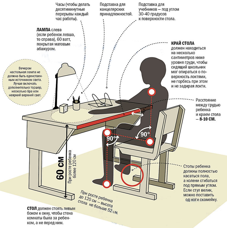 Эргономика письменного стола для школьника