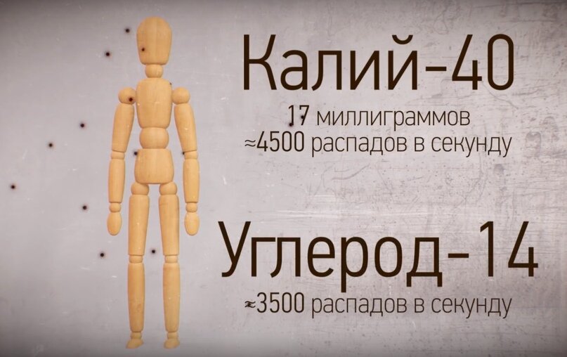 Примерное содержание нестабильных изотопов в человеке