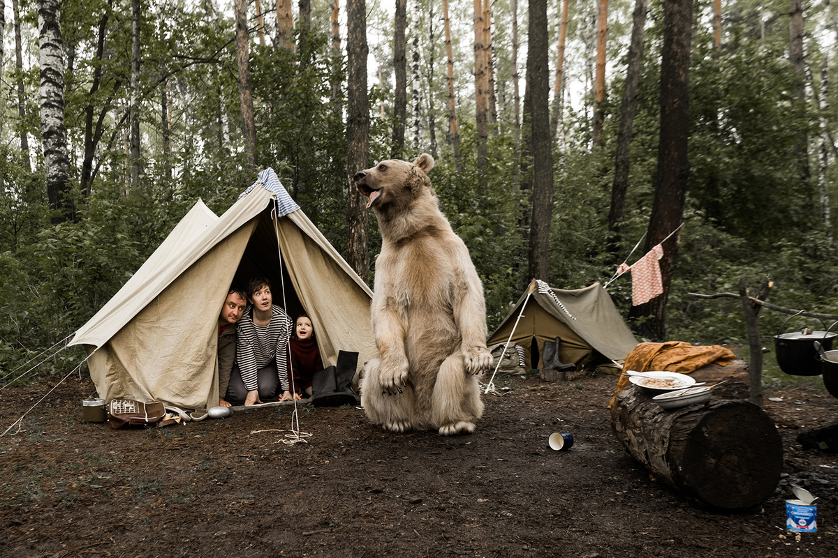 Фото взято в качестве иллюстрации. Источник : Яндекс. Картинки