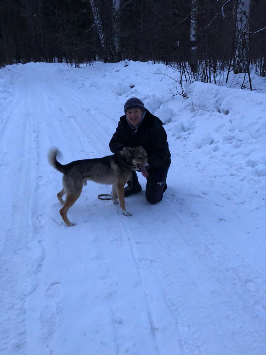 На прогулке по лесу