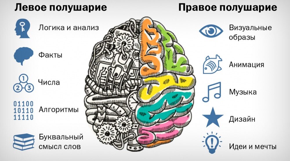 2. Только в возрасте 3-4 лет человеческий мозг может усвоить и выучить буквально что угодно