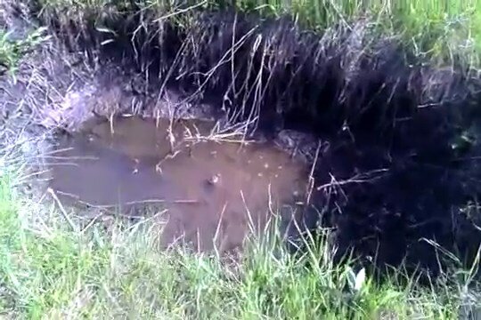 В луже жить карась не будет ! ЭТО ОБМАН !