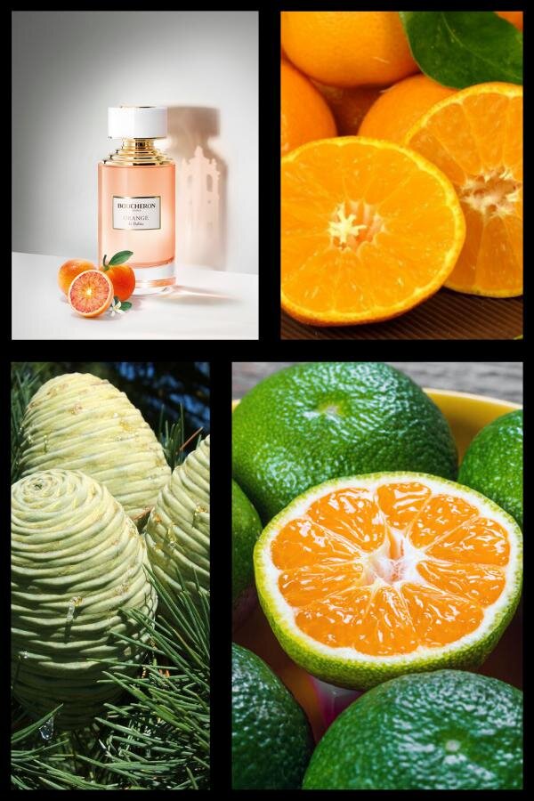 Стоимость от 18 000 руб.