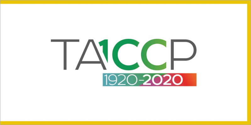 Флаг празднования 100-летия ТАССР.