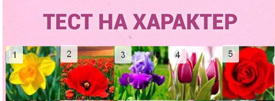 выбирайте 1 из 5 картинок