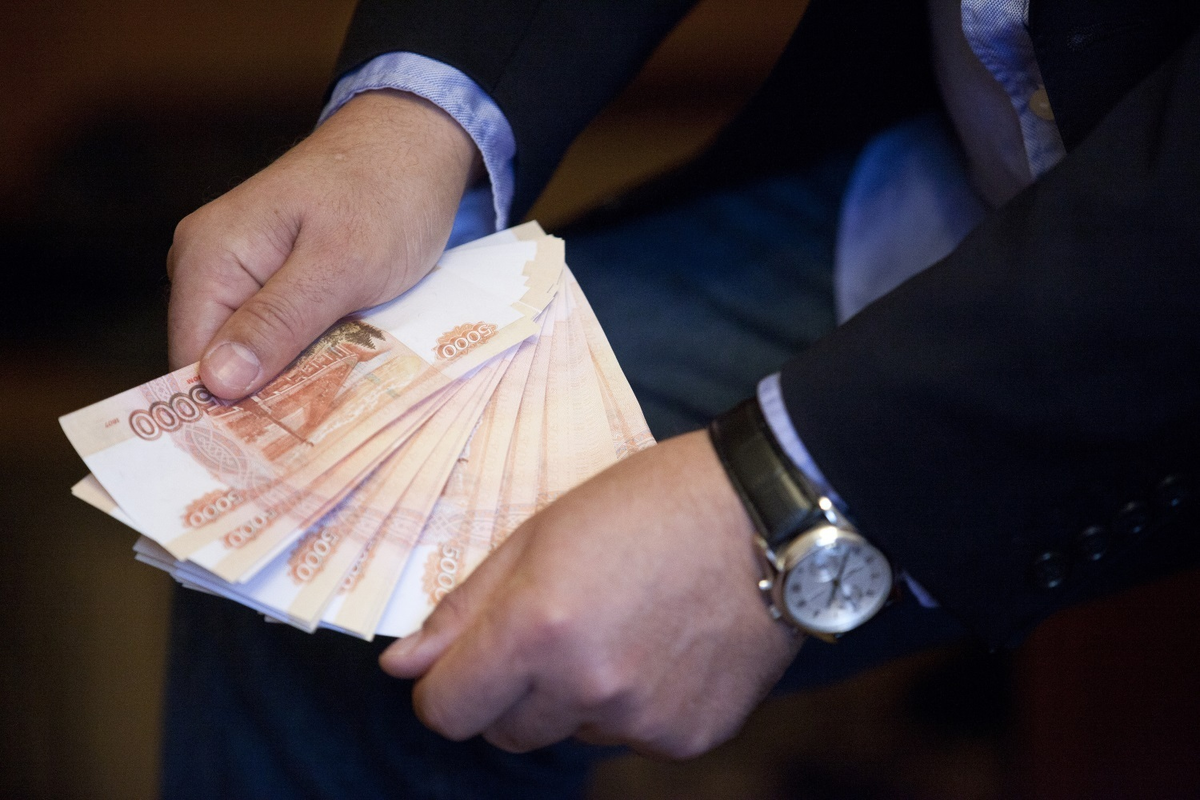   С точки зрения государства и налоговых органов, российский бизнесмен – это «дойная корова» с бездонным денежным мешком.-2