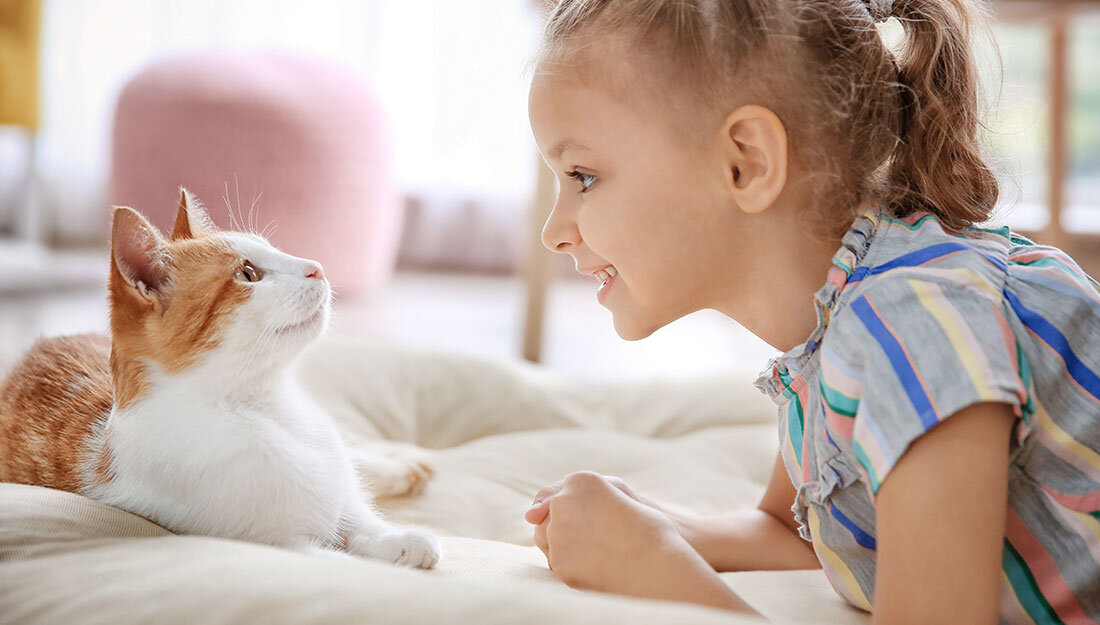 Фото взято из Яндекс Картинки.