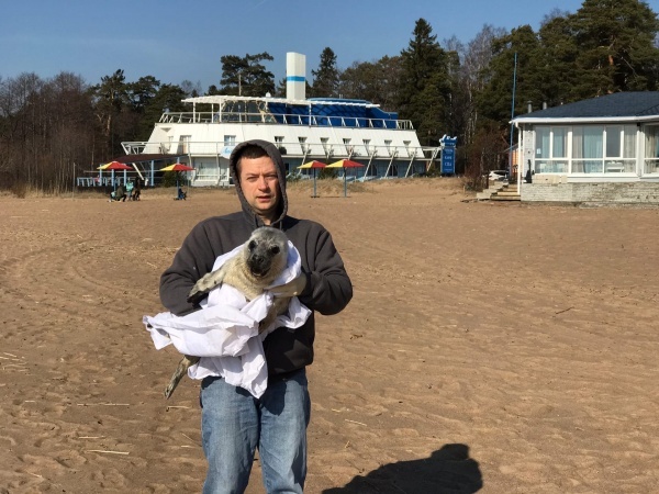 Фото: vk.com/sealrescue