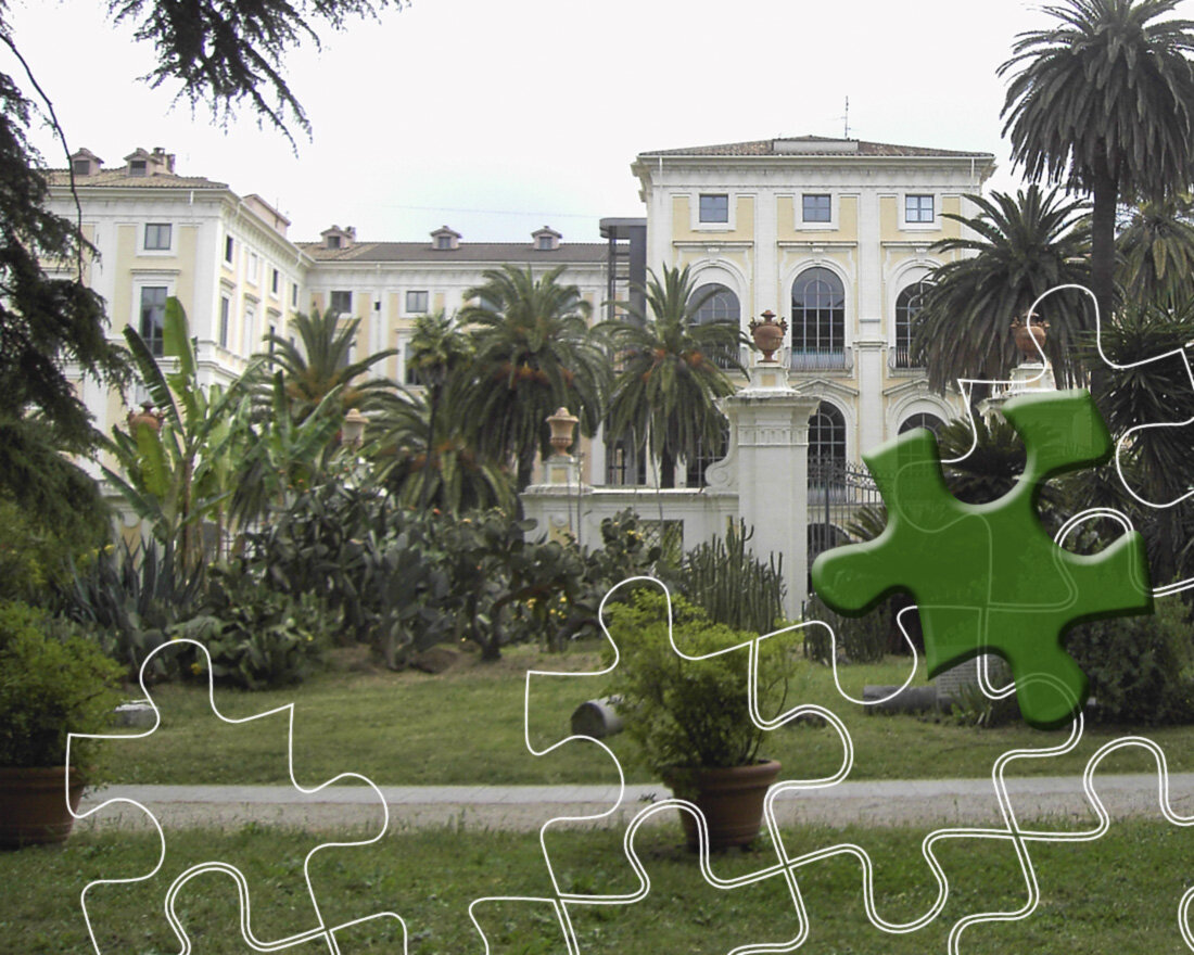 1. Национальная академия деи Линчеи