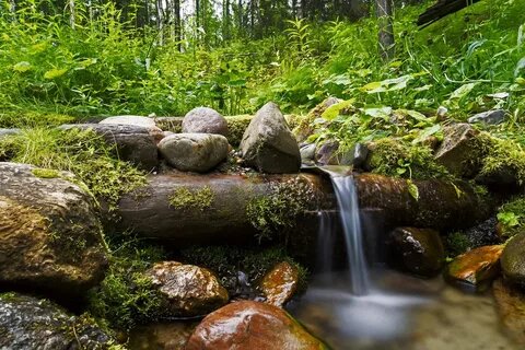 Как найти воду на участке: для скважины, для колодца, своими руками