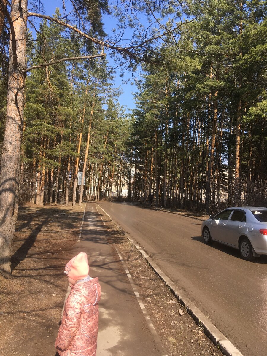 На пути к нашей полянке