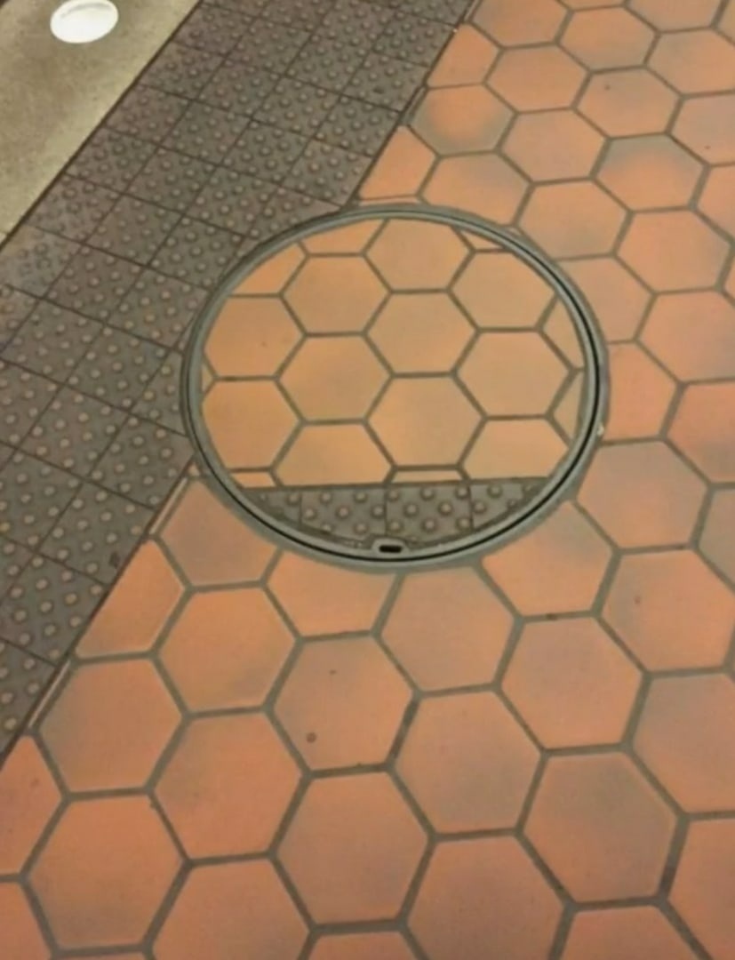 Фото взято из просторов интернета. 