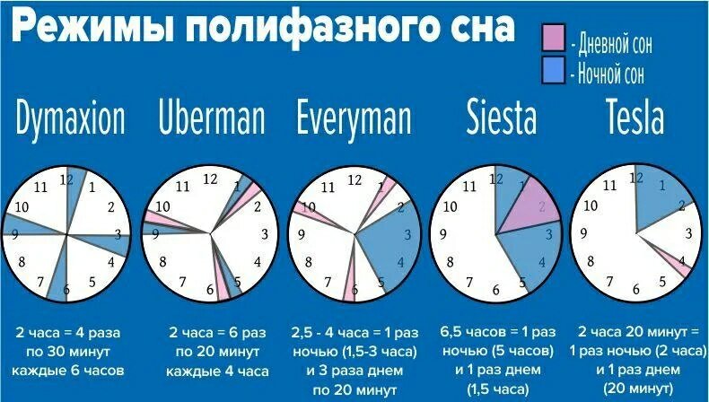 Режимы полифазного сна