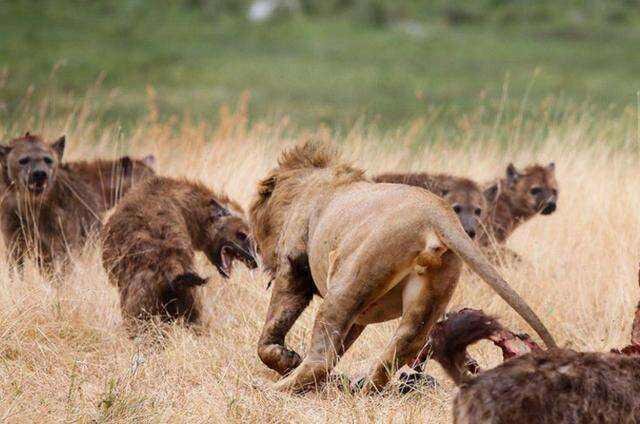 Изображение взято с портала https://yandex.ru/images.