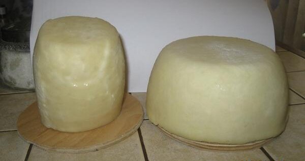 Вздутыши. Первые Сыры. 