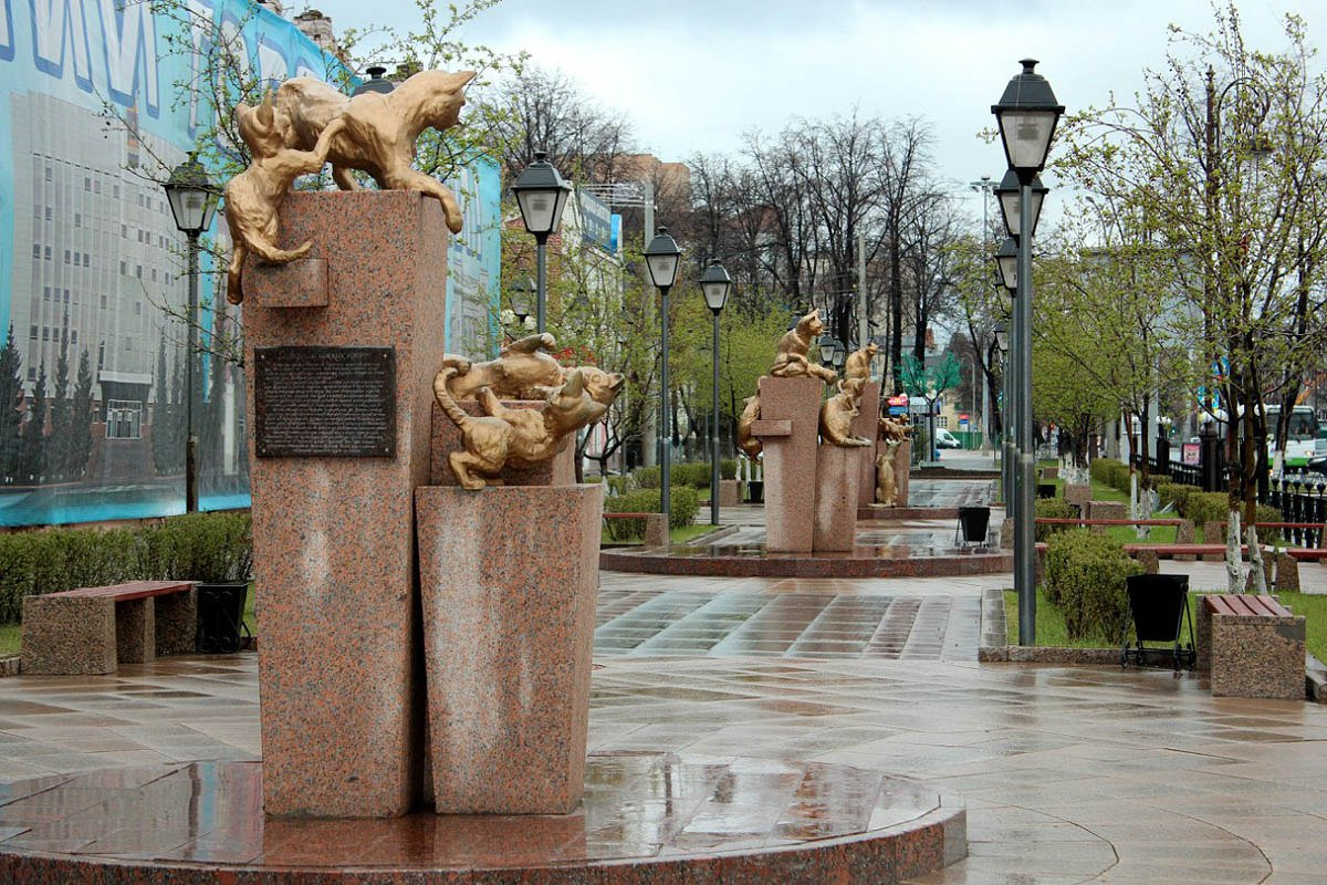 Аллея сибирских кошек