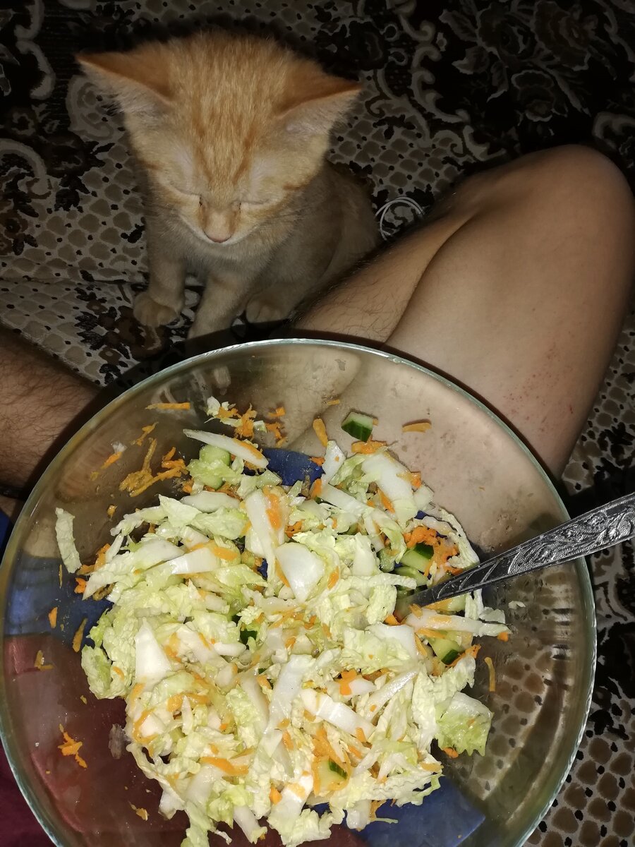 Это я половину уже съел 😅