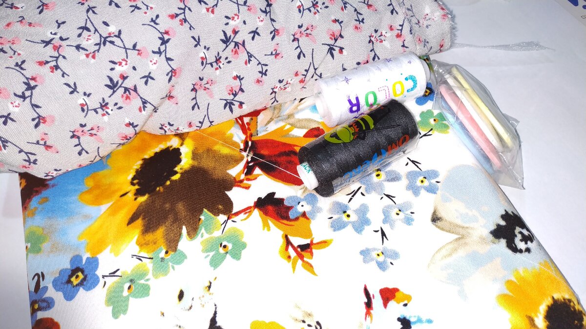 Авторское фото 1 ПЕРВЫЙ ПОЛЕЗНЫЙ