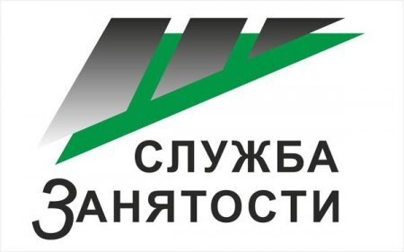 Наверняка  это для многих не новость , но  пособие  и  Дзен  не  совместимые  вещи .