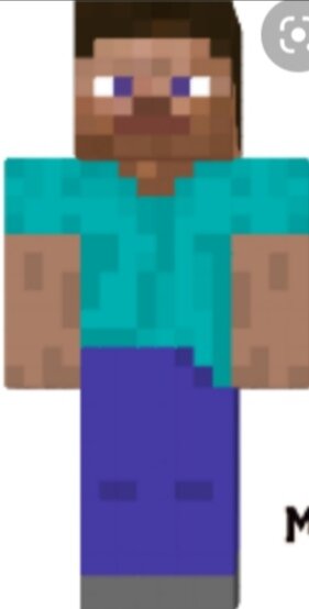 Следующие удалённые мобы чёрный и белый Стив они просто бегали по миру и ничего не делала, из-за смерти 1 игрока у которого случилась эпелепсия их пришлось удалить.