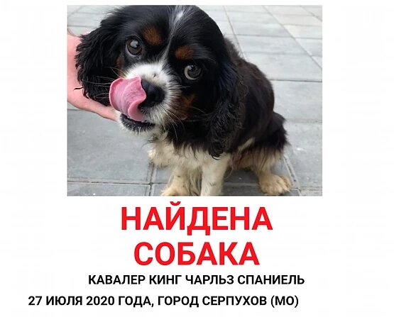 Объявление 