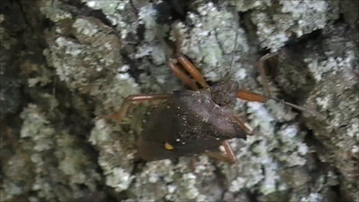 Моя фотография