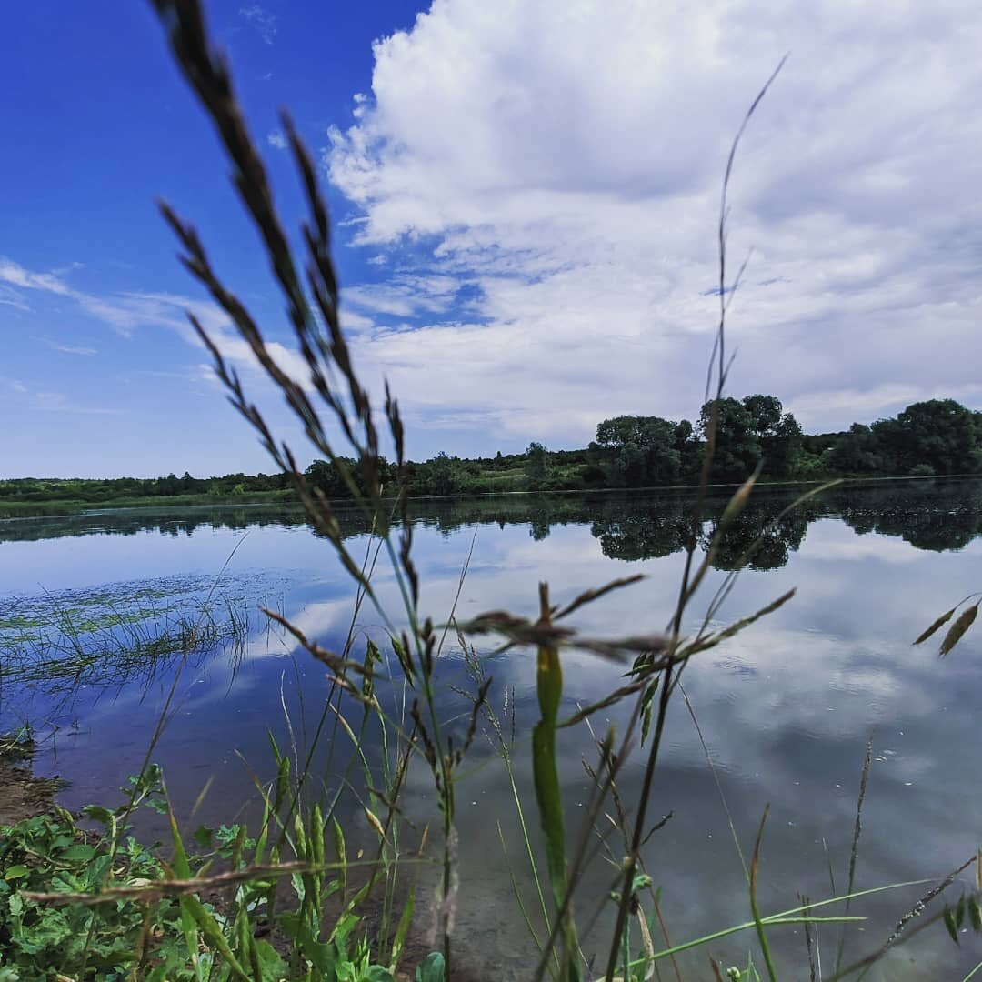 Красота природы