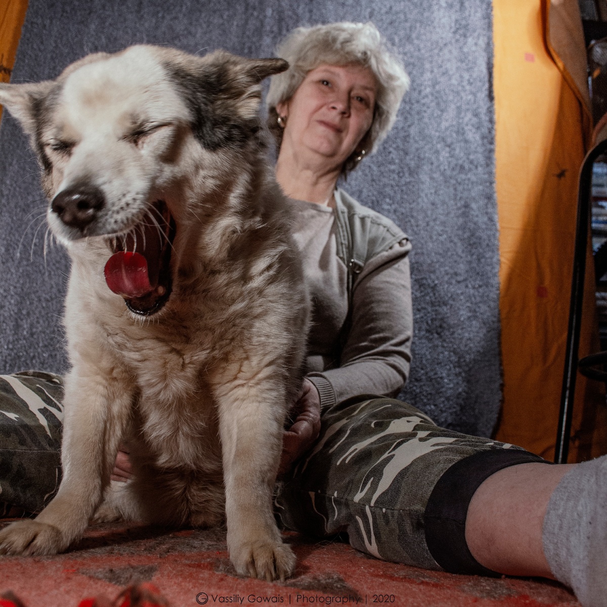 Очень грозный страж