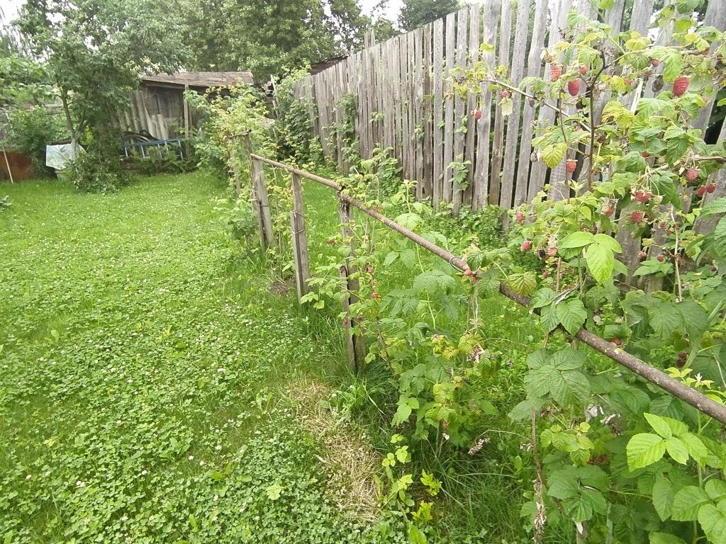 Малинники черногорск