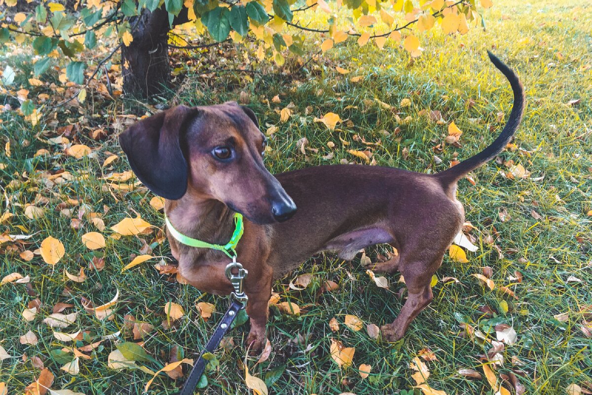 Не забудь подписаться и поставить ♥️