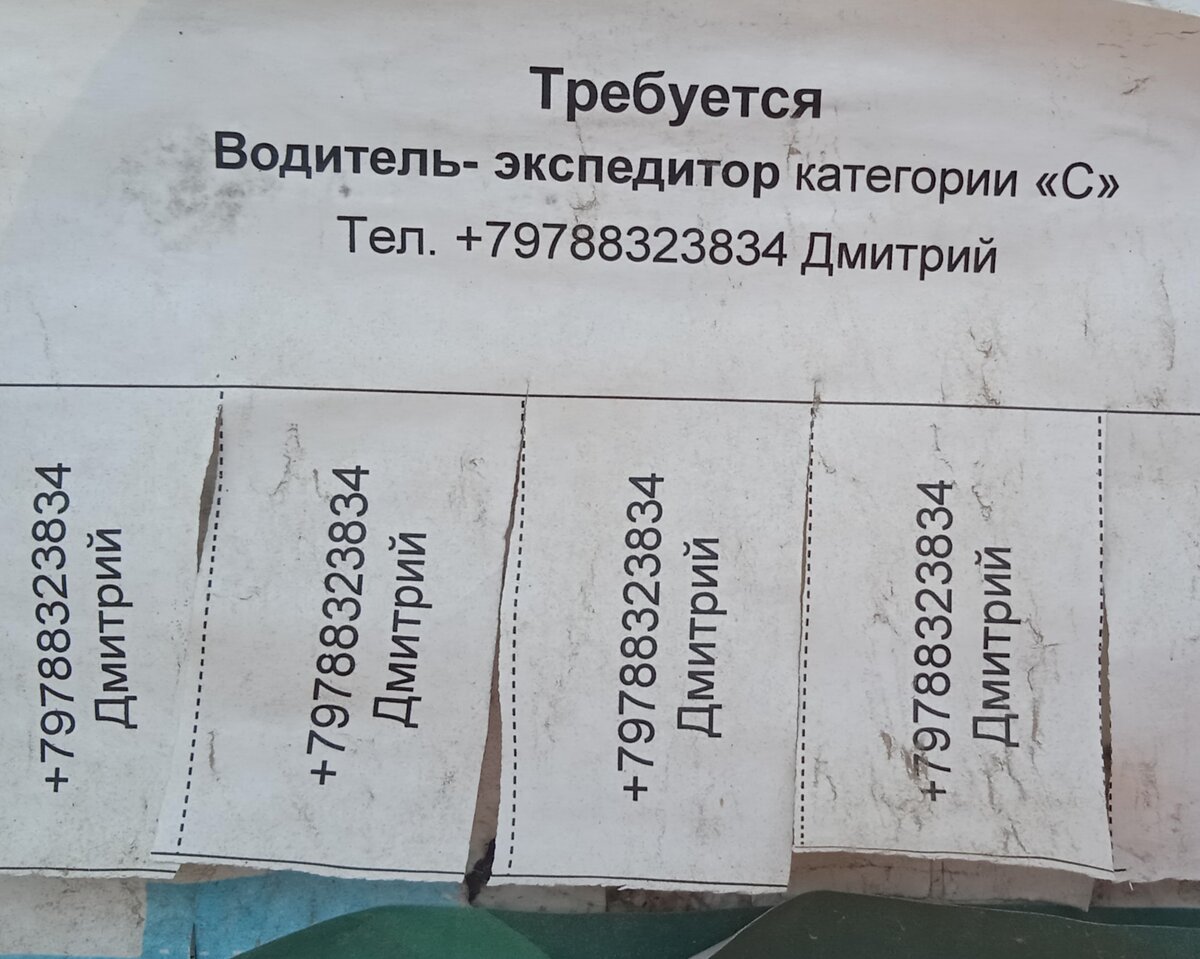 Безработица в Старом Крыму? Нет не слышали.... | Мой Крым - моя планета |  Дзен