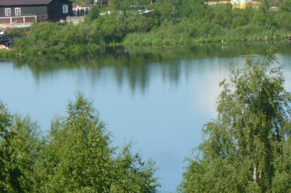 Островок природы в городе