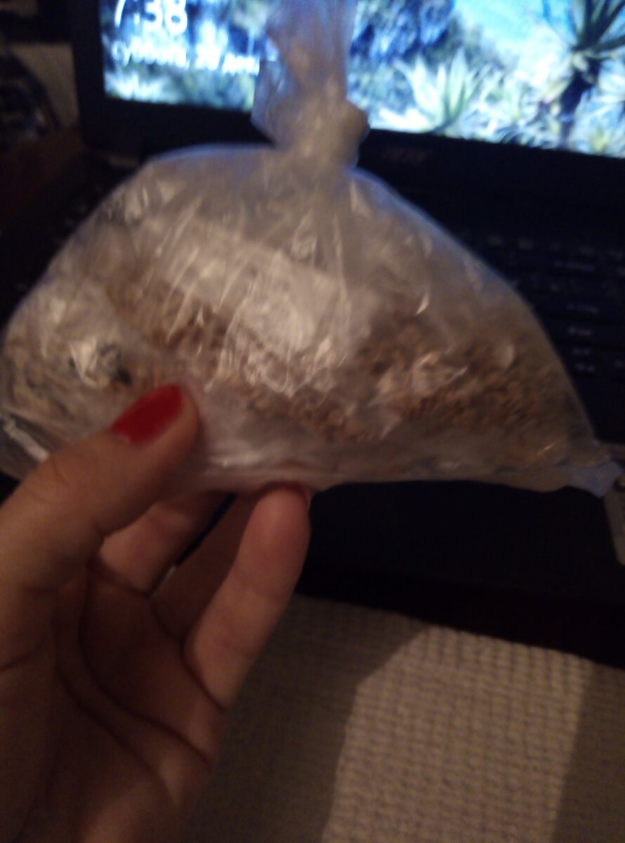 мешочек с семенами из магазина