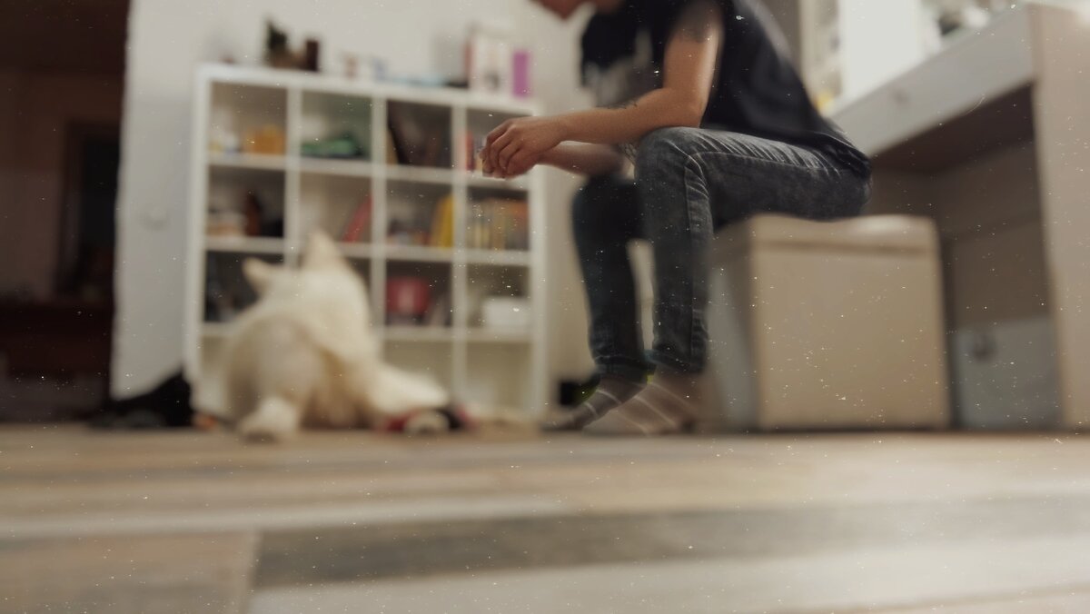 как раз те самые часы, когда я слежу с утра за песиками, пью кофе и пытаюсь проснуться. 