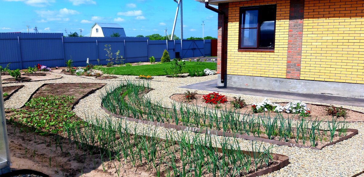 Моя территория