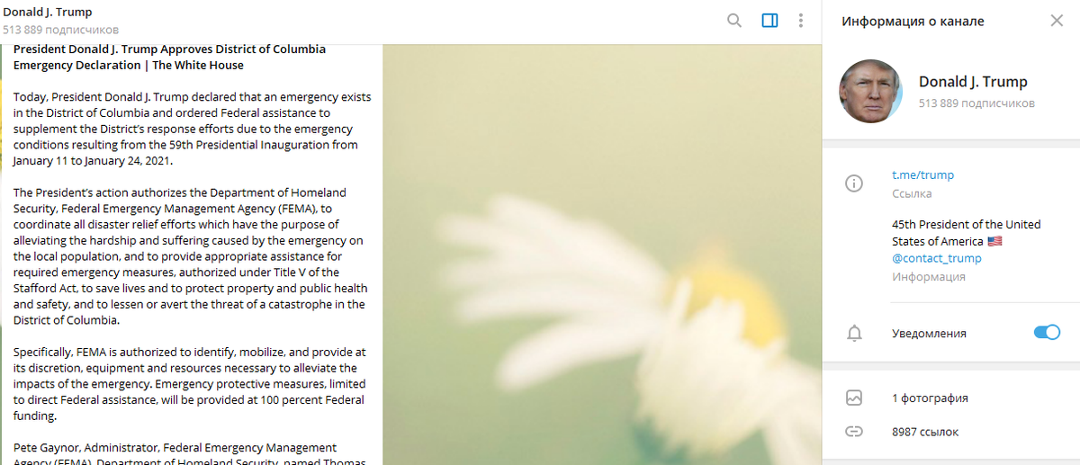 Подписался вчера на Трампа в Телеграме