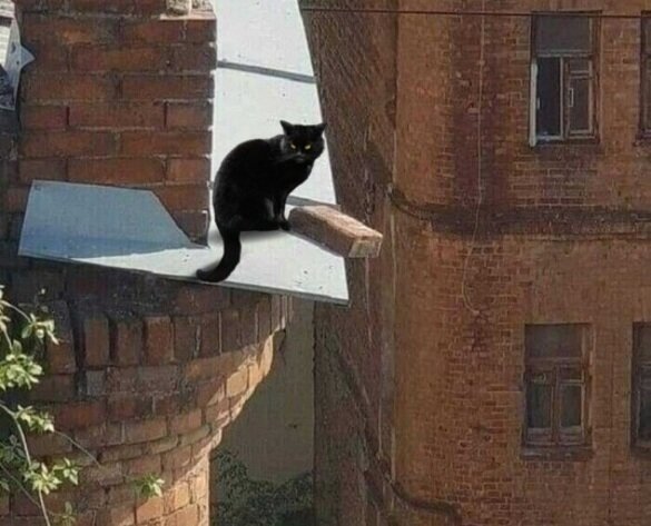 фото использовано в качестве иллюстрации. Источник "Яндекс.Картинки"