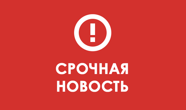 #молния #лицензия на алкоголь #бары и рестораны #продление лицензии на алкоголь 
