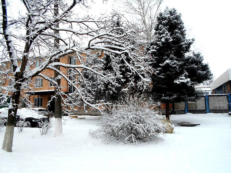 листайте картинки